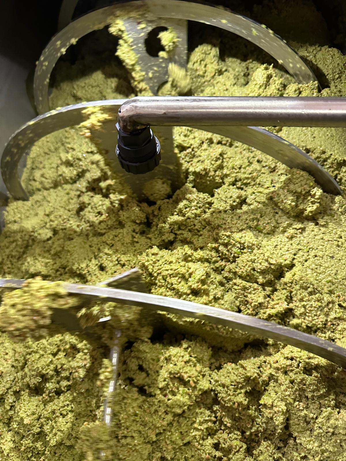 Lavorazione della pasta di olive