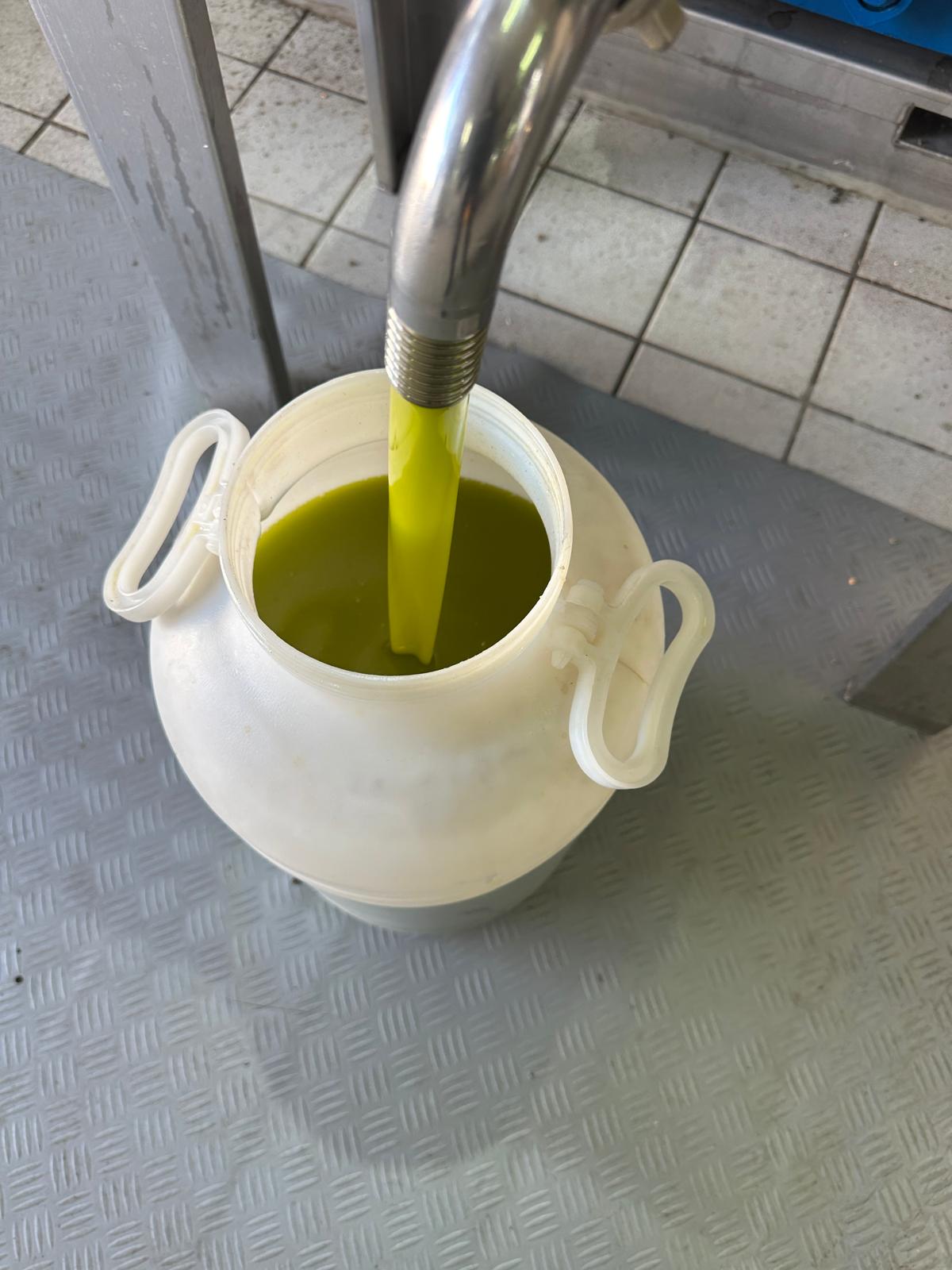 Olio appena estratto al frantoio
