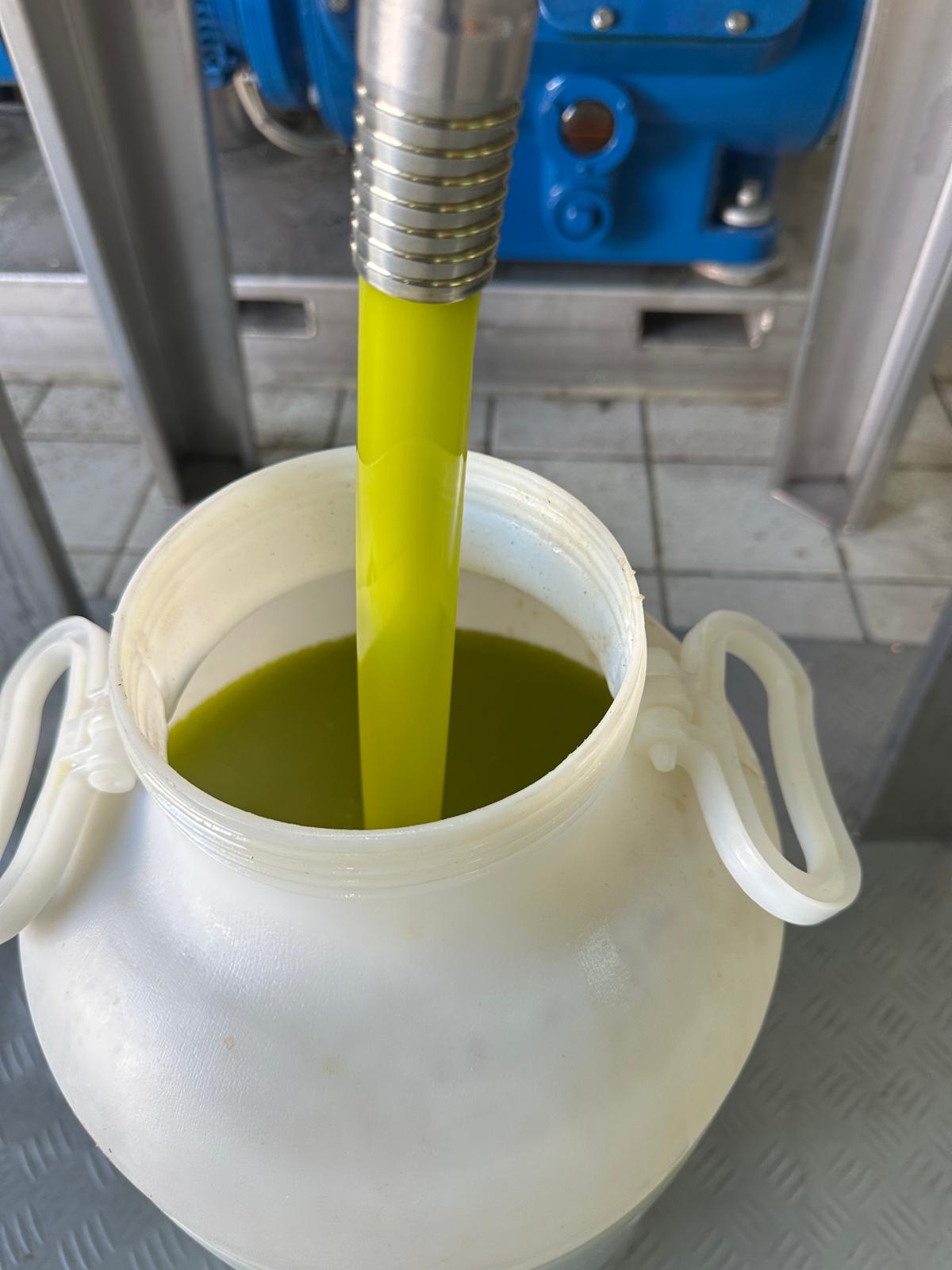 Primo piano dell’olio appena estratto